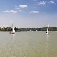 Buy canvas prints of White boats sailing view panorama by Arletta Cwalina