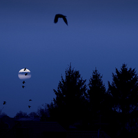 Buy canvas prints of Full moon crows silhouette by Arletta Cwalina