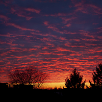 Buy canvas prints of Amazing red sunset sky by Arletta Cwalina
