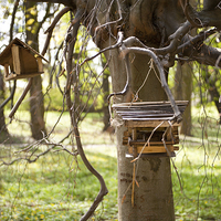 Buy canvas prints of Empty bird feeders in park by Arletta Cwalina