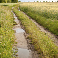 Buy canvas prints of Path with puddles in fields by Arletta Cwalina