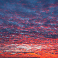 Buy canvas prints of Spectacular red blue sunset sky by Arletta Cwalina