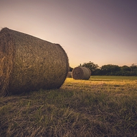 Buy canvas prints of  Bales of hay by Dean Merry
