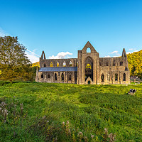 Buy canvas prints of Tintern abbey by Dean Merry