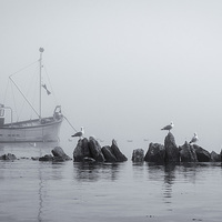 Buy canvas prints of  Misty Morning by Mark Woodward