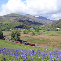 Buy canvas prints of Welsh Highland Railway at Beddgelert in springtime by Chris Parry