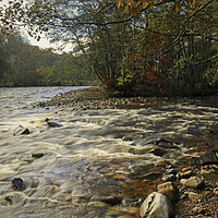 Buy canvas prints of River Avon in Scotland by Michael Hopes