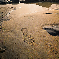 Buy canvas prints of Footprints in the sand by Michael Hopes