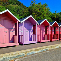 Buy canvas prints of Beach huts on Folkestone seafront by Michael Hopes