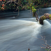 Buy canvas prints of River below Avich Falls by Michael Hopes