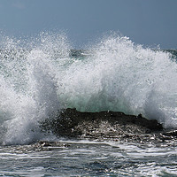 Buy canvas prints of Wave Crashing by Michael Hopes