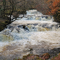 Buy canvas prints of Avich Falls in Scotland by Michael Hopes