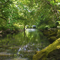 Buy canvas prints of  stream on summers day by michael swords