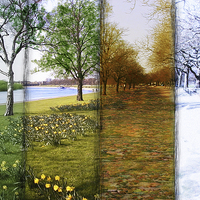 Buy canvas prints of  Four Seasons by Levi Henley