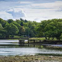 Buy canvas prints of Beaulieu River by Stef B