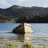 Buy canvas prints of  The Wreck in Loch Craignish by Angela Rowlands