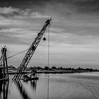 Buy canvas prints of Drowning Crane by jim wardle