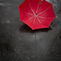 Buy canvas prints of Red umbrella in the rain by Edward Fielding