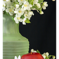 Buy canvas prints of Apple Blossoms by Edward Fielding