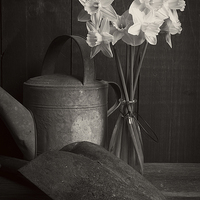 Buy canvas prints of Still life with flowers by Edward Fielding