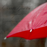 Buy canvas prints of Paris in the Rain by Edward Fielding