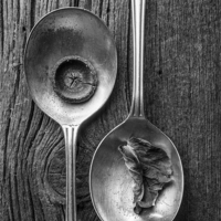 Buy canvas prints of Silver Spoons Still Life Black and White by Edward Fielding