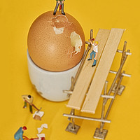 Buy canvas prints of Going to work on an egg by John Boud