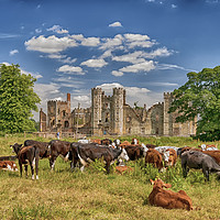 Buy canvas prints of Ruins of Cowdray House Midhurst West Sussex by John Boud