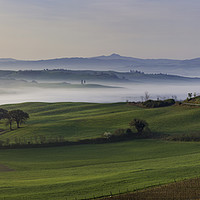 Buy canvas prints of Tuscan Dawn Pano by Brian Jannsen