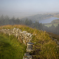 Buy canvas prints of Misty Morning at Hadrian's Wall by Brian Jannsen