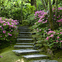 Buy canvas prints of Garden Pathway by Brian Jannsen