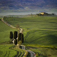 Buy canvas prints of Walking Through Tuscany by Brian Jannsen