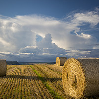 Buy canvas prints of Evening Sunlight on Hay Bales by Brian Jannsen