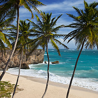 Buy canvas prints of Barbados Beach by Brian Jannsen