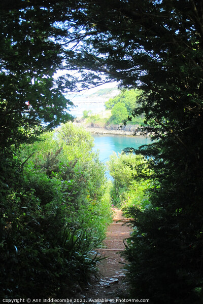 View from the steps at Fishcombe cove Picture Board by Ann Biddlecombe