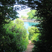 Buy canvas prints of View from the steps at Fishcombe cove by Ann Biddlecombe