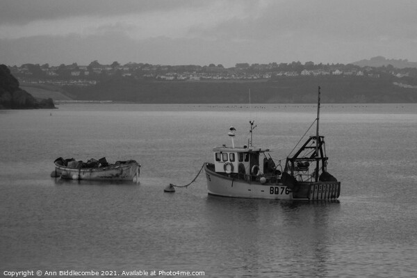 Just a couple of fishing boats in monochrome Picture Board by Ann Biddlecombe