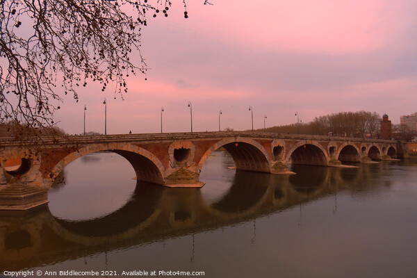 Do you see me at Pont-Neuf bridge Picture Board by Ann Biddlecombe
