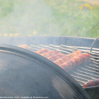 Buy canvas prints of sausages on the barbecue  by Ann Biddlecombe