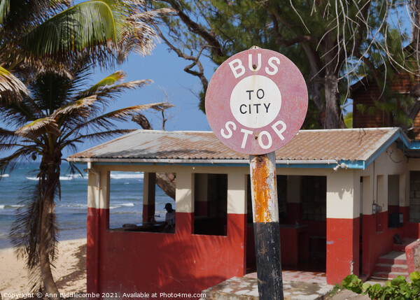 Bus stop in Barbados Picture Board by Ann Biddlecombe
