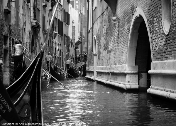 Traffic jam in Venice in monochrome Picture Board by Ann Biddlecombe