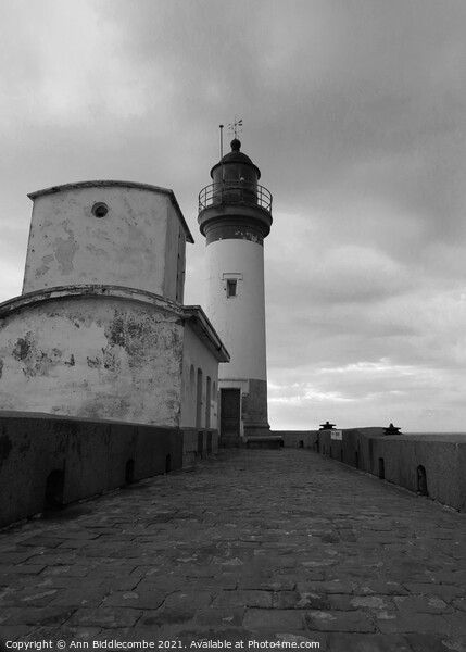 Lighthouse of Le Treport under stormy skys in mono Picture Board by Ann Biddlecombe