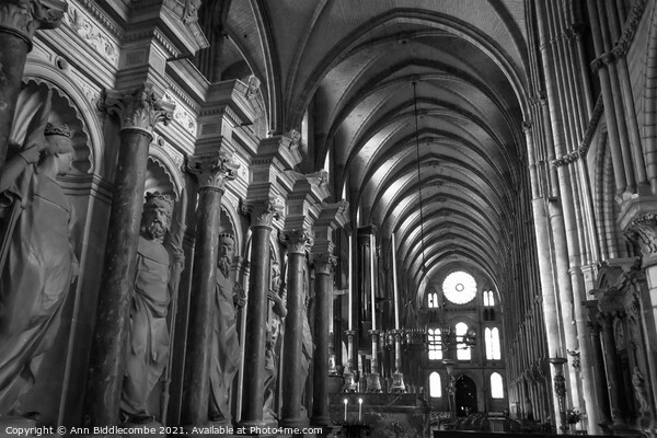 Saint-Remi Basilica in Reims France in Monochrom Picture Board by Ann Biddlecombe