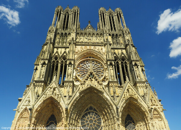 Reims Cathedral Picture Board by Ann Biddlecombe