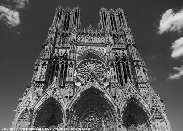 Notre-Dame de Reims Picture Board by Ann Biddlecombe