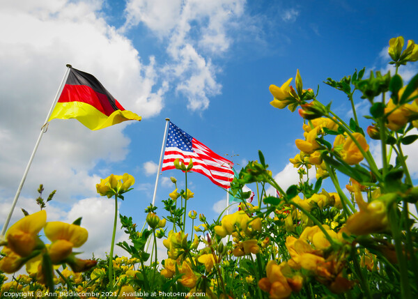 A Flowers View of the USA and German Flags Picture Board by Ann Biddlecombe