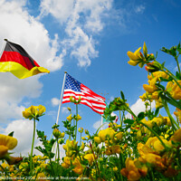 Buy canvas prints of A Flowers View of the USA and German Flags by Ann Biddlecombe
