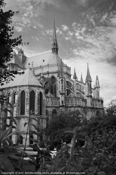Cathedral in Reims in monochrome Picture Board by Ann Biddlecombe