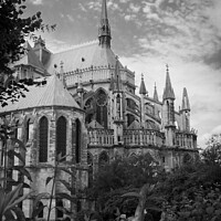 Buy canvas prints of Cathedral in Reims in monochrome by Ann Biddlecombe
