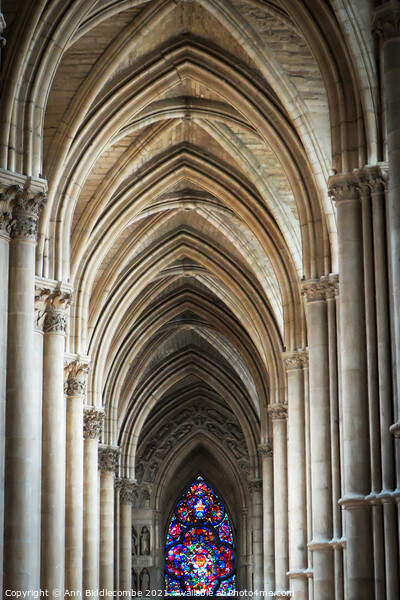 Inside cathedral at Reims France Picture Board by Ann Biddlecombe